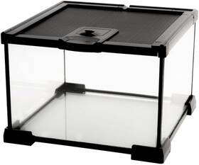 Awxzom-gtfr-001 Awxzom Mini Reptile Glass Terrarium Tank Cage For Tarantula 7.9x7.9x5.7inch Clear