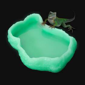 Azv Rocrplight01 Mini Reptile Food Water Rock Bowls Luminous 3 4 1.1in Green