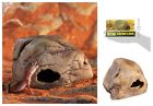 B008ydhd00 Exo Terra Small Lizard 610602441554