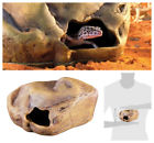 B008ydhdsc Exo Terra Large Lizard 610602441585
