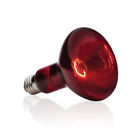 B65 Exo Terra Exoterra Infrared 015561221467