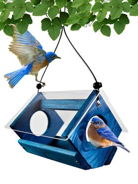 Be145 Backyard Essentials Petite Bluebird Feeder With Plexiglass Roof And Powder Coated Steel Mesh Bask