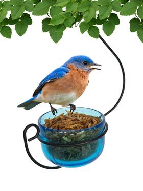 Be174 Backyard Essentials Bluebird Mealworm Feeder - Sparkling Blue Glass Bowl With Decorative Hanging