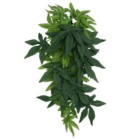 J574sr336u6tk9h2715qi537 Balacoo Aquarium Reptile Plants Artificial Plastic Leaves Hanging Silk Terrar J574sr336u6tk9h2715qi537 Balacoo Aquarium Reptile Plants Artificial Plastic Leaves Hanging Silk Terrar