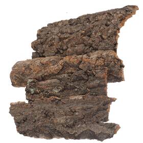 Ui106knob12yjki116m2fpc Balacoo Terrarium Tree Bark 4pcs Reptile Decoration Natural Cork Backdrop R