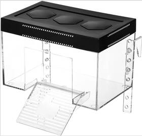 Goldwr-02 Barbarous Tortoise Sunshine Warm Room Elevated Transparent Turtle Basking Platform With Ramp