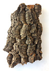 Barkc-f Jelinek Cork Group Sustainable 059733701142