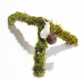 Begeterday 714855949895 12 Inch Pet Snail Climbing Toys Ideal Terrarium Accessories Perfect For