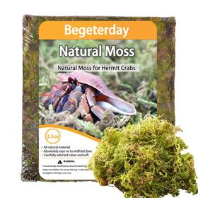 By004-3.5oz Begeterday Natural Moss For Hermit Crabs Ideal Tank Habitat Supplies 3.5oz