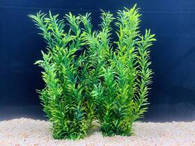 Begondis 757233459364 2 Pcs Artificial Water Plants Fish Tank Aquarium Decorations Made Of Soft P