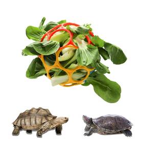 Besimple 735279068399 Tortoise Treat Ball Toy Turtle Hay Feeder Hanging Feeding Grass Fr