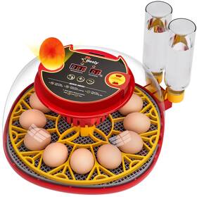 Xj-011 Besly Incubator For Hatching Eggs Automatic Turning Temperature And Humidity Contro