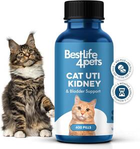 Bestlife4pets 628250142273 Cat Uti Remedy And Kidney Support For Cats- Natural Urinary Tract 1-pack