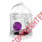 Bio-35066915 Biobubble Small Animal Bundle Habitat White 16 X 21.5 819189010669