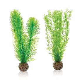 46083.0 Biorb 46083 Feather Fern Set Small Green Aquariums