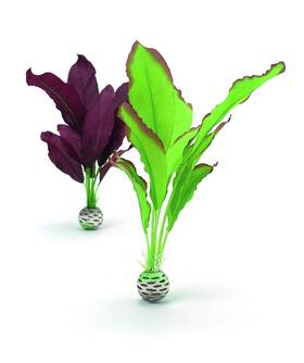 46101 Biorb Silk Plant Set Medium Green And Purple Purple/green
