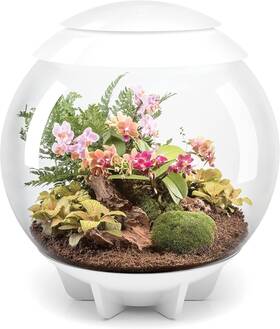46147 Biorb Air 60 Led Terrarium - 16 Gallon White Gallon/60 Liter