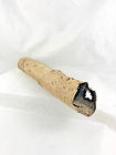 Birch Treebark Hollow Tree Bark For Use In Terrarium Burch Birch Treebark Hollow Tree Bark For Use In Terrarium Burch