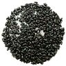 Black Buffalo Prevent Dubia Roaches Crickets Cleaner Crew Alphitobius Diaperinus