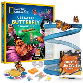 Blue Marble 810070624811 National Geographic Ultimate Butterfly Growing Kit - Activity W