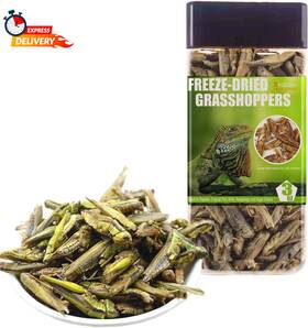 Bnyee 445048631602 Tasty Freeze Dried Grasshopper Reptile Food For Turtles Bearded Dragon Hedgeho