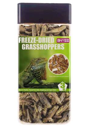 Bnyee 722737363165 Tasty Freeze Dried Grasshopper Reptile Food For Turtles Bearded Dragon Hedg