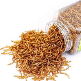 Bnyee 744759630636 Reptile Food Dried Mealworms Pet Worms For Bearded Dragon Lizard Turtles