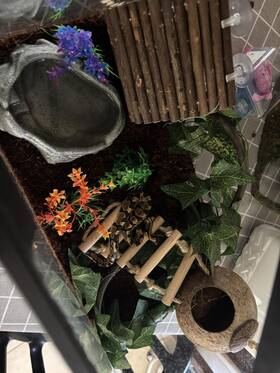 Branded 313017356344 Reptile Tank Accessories Coconut Hide Vine Plants Ladder For Gecko Lizard New
