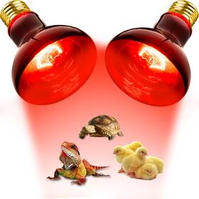 100w Branded01 445003283242 Reptile Red Heat Lamp Bulbs And Amphibian Basking Spot Light F