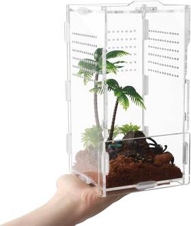 Branded01 726084153226 Jumping Spider Enclosure 4 Inch X4 X8 Tarantula Reptile Feeding Box Acryl