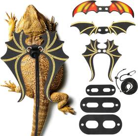 Branded01 744759507563 Bearded Dragon Leash And Harness Set 3 Size Pack Adjustable Cool Leather Lizard