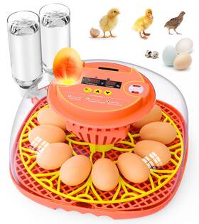Fdq-001 Brnvl 12 Egg Incubator For Hatching Eggs Smart Temperature And Humidity Control A