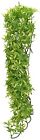 Bu35 Zoo Med Naturalistic Bush Plant Bolivian Croton Large