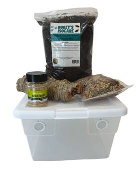 Bugzybugs 745231868950 Vivarium Accessories 16-quart Starter Kit For Isopod Springtails Bugs Amphibians