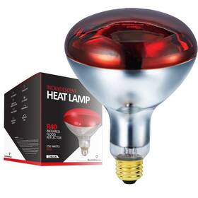 Bulbmaster 730669649653 250 Watts R40 Red Heat Lamp Light Bulbs Infrared Flood Reflector Incandescent