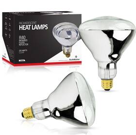 76711 Bulbmaster 250 Watt Heat Lamp Bulb For Bathroom R40 Incandescent Shower Clear