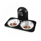C0113-luosi Bwogue Suction Cup Gecko 689720074944