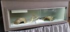 C481824dg Showcase Cages Reptile Cage
