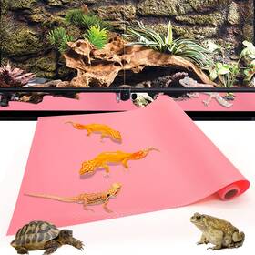 Caichuxiye 751501846191 Bearded Dragon Tank Accessories Reptile Leopard Gecko Tortoi