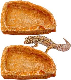 Orange-3 Cateneed 2 Pack Corner Reptile Water Dish Food Bowl Bearded Dragon Pcs Bowls