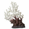 Caus11133 Imagitarium White Coral 800443148662