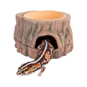 Cava-ehr29s Cavachew 3 In 1 Reptile Hide Cave With Humidity Dish 6 W X 6.4 H 3.5