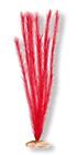 30157011284 Cb-316-rd Blue Ribbon Soft Foxtail Aquarium Plant Medium Tall
