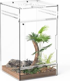 Ceotis 445025354371 Jumping Spider Enclosure One-piece Fully Transparent Acrylic Small Reptile Encl