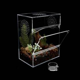 Zzh0001 Clarellara Acrylic Tarantula Enclosure Jumping Spider With Front Opening Door 7.8