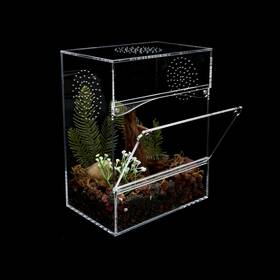 Zzh001 Clarellara Acrylic Tarantula Enclosure Jumping Spider With Front Opening Door
