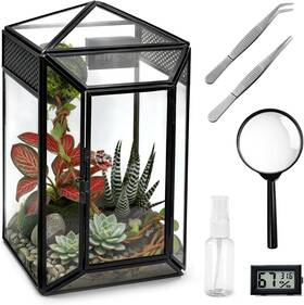Clioran 445038882823 Glass Jumping Spider Enclosure Kit Escape Proof Insect Terrarium And Desktop Dis