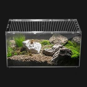 Clioran 445048515544 Reptile Pc Terrarium Tarantula Enclosure Spider Tank Starter Kit Leopard Gecko C