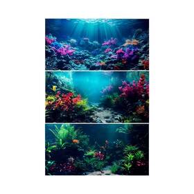 Clp-pet-099 Comsun 3 Pack Aquarium Background 36x18 Inches Polyester