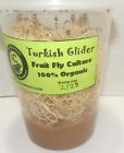 Cool Crazy Critters Turkish Gliders Fruit Fly Culture Faster Producing